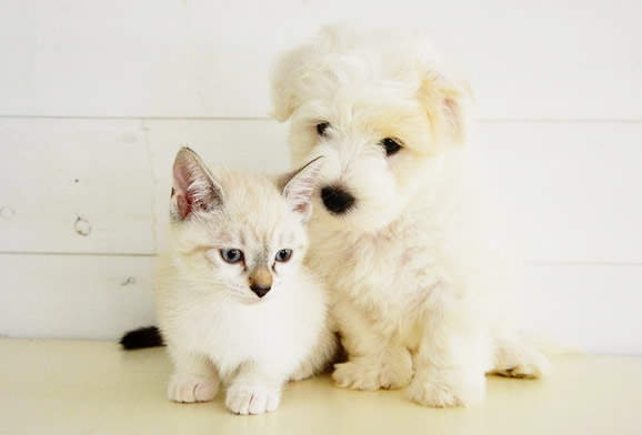 旅立ちの前のご準備