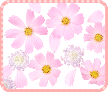 旅立ち前のご準備