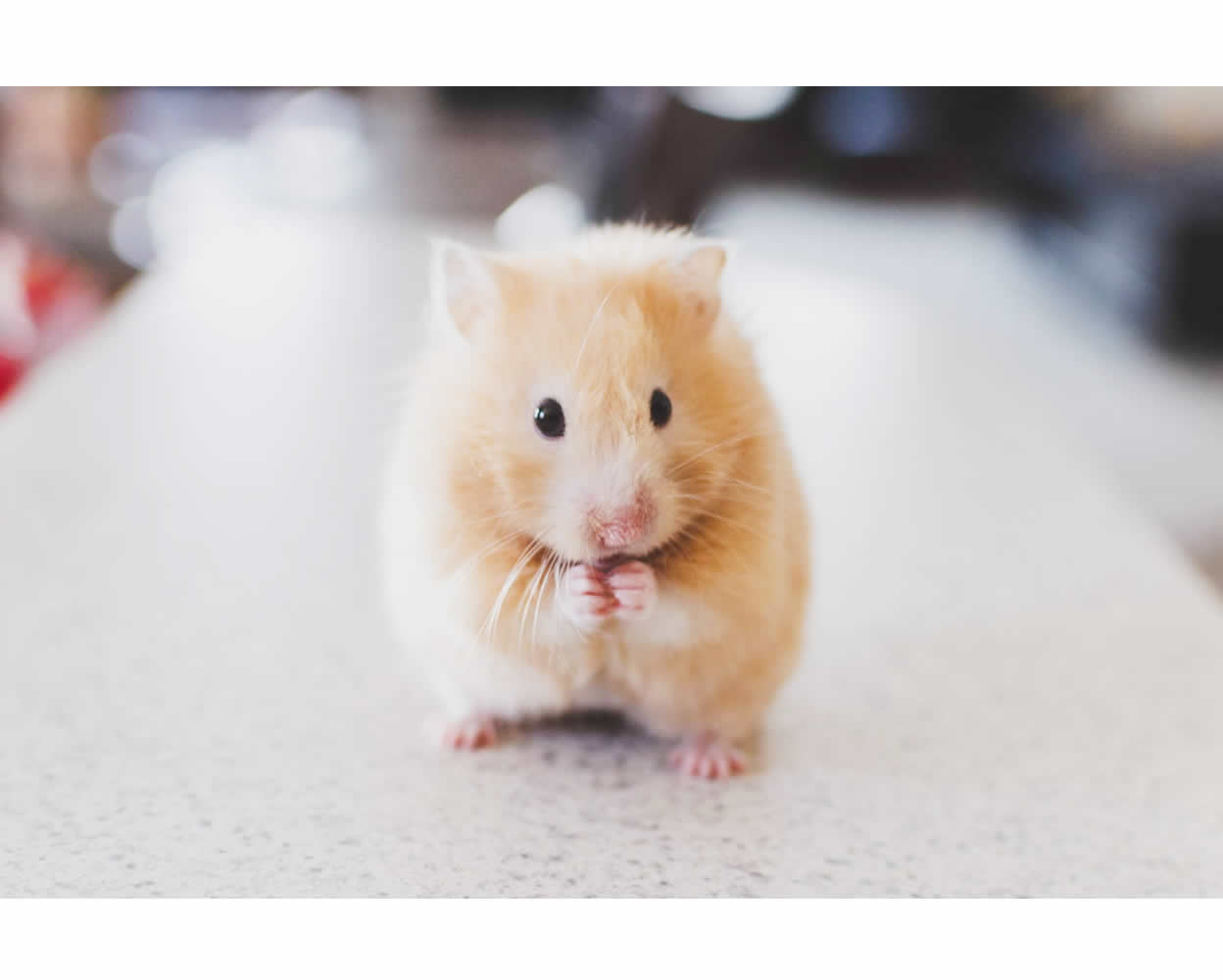 よくあるご質問